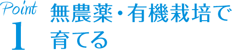 無農薬有機栽培で育てる